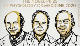 nobel-medicine-prize+-212920-01