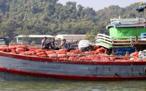 burmese-onion-teknaf-port-121219-01