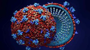 Coronavirus-1