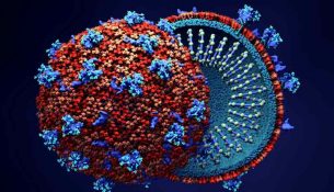 Coronavirus-1