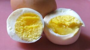 egg (1)
