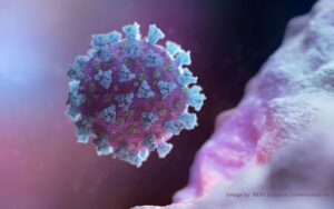 coronavirus-image-nexu-250220-09