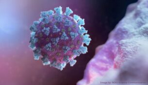 coronavirus-image-nexu-250220-09