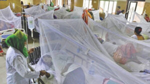 image-698559-1689970004