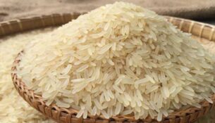 1693063073.rice.news_233070_1