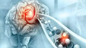 image-733983-1698522729