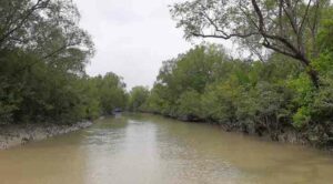 1717166211.Bagerhat-Sundarbon-Pic-3