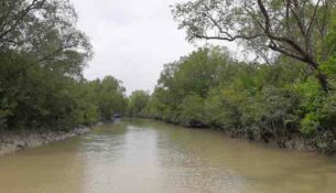 1717166211.Bagerhat-Sundarbon-Pic-3