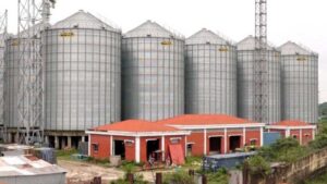 Ashuganj-Steel-Rice-Silo-671ff96a8727f