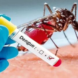 dengue-2