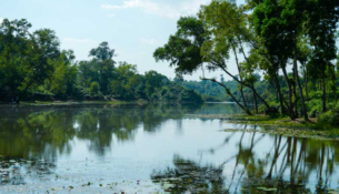 Screenshot 2025-06-15 041206