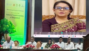 rizwana-hasan-68601b379e64e