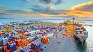 image-767950-1706403777-6883cde950681