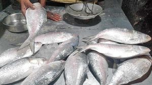 Untitled-12-68cc39936a044