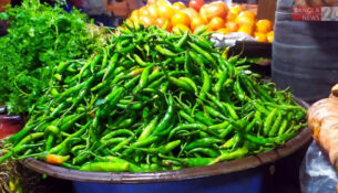 1767938707-87e00fbe78dd3ce43a06c81402e509cf