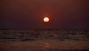 Screenshot 2026-01-01 044523-01