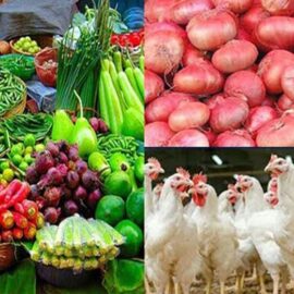 74444-681d9cd53eef8-6997c0a4661d8